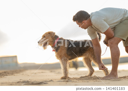 Man in light shirt crouches beside brown and black dog on sandy beach during sunset, with ocean waves and distant figures visible in the background. Airedale Terrier Man in light shirt crouches beside brown and black dog on sandy beach during sunset, with ocean waves and distant figures visible in the background. Airedale Terrier 141401183