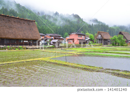 白川鄉、岐阜縣小野郡白川村的景色(2023年雨天) 白川鄉、岐阜縣小野郡白川村的景色(2023年雨天) 141401240