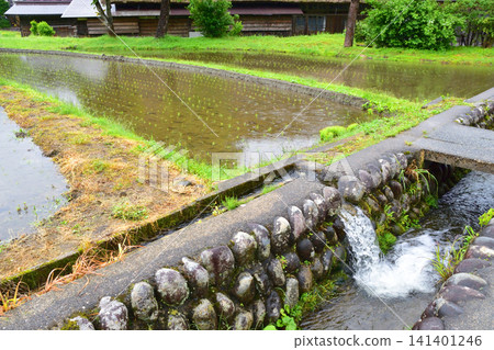 Scenery of Shirakawa-go, Shirakawa Village, Ono District, Gifu Prefecture (Rainy, 2023) Scenery of Shirakawa-go, Shirakawa Village, Ono District, Gifu Prefecture (Rainy, 2023) 141401246