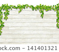 Ivy and white wood wall (side view) 141401321