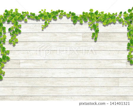 Ivy and white wood wall (side view) Ivy and white wood wall (side view) 141401321