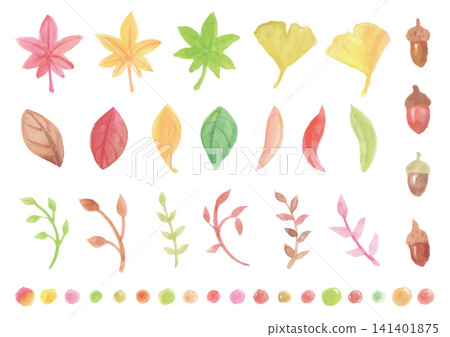 一套以秋季為主題的水彩畫,描繪了各種樹葉和橡實。 一套以秋季為主題的水彩畫,描繪了各種樹葉和橡實。 141401875