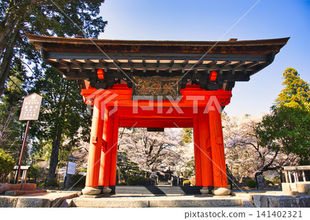 甲州市惠林寺的壯麗春景 甲州市惠林寺的壯麗春景 141402321