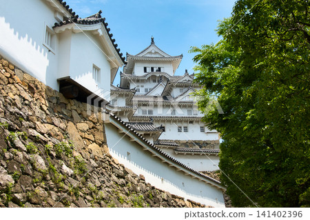 姬路城,兵庫縣姬路市 姬路城,兵庫縣姬路市 141402396