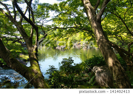 兵庫縣姬路市古古園 兵庫縣姬路市古古園 141402413