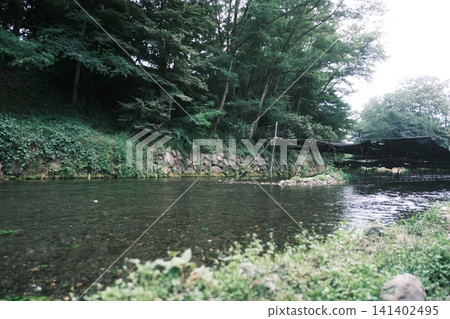 Daio Wasabi Farm, Cool Water Path Daio Wasabi Farm, Cool Water Path 141402495