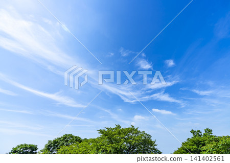 Summer blue sky and clouds and trees Summer blue sky and clouds and trees 141402561
