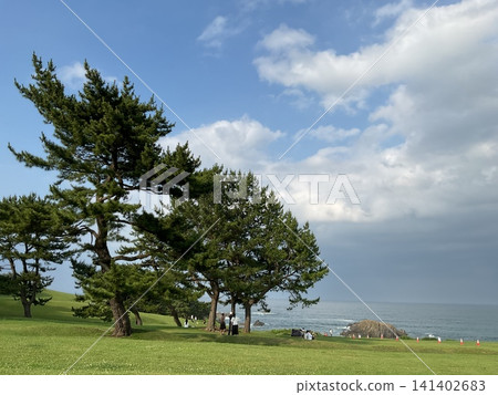 A beautiful coastal landscape of pine forests and grassy areas overlooking the sea - Japanese nature A beautiful coastal landscape of pine forests and grassy areas overlooking the sea - Japanese nature 141402683