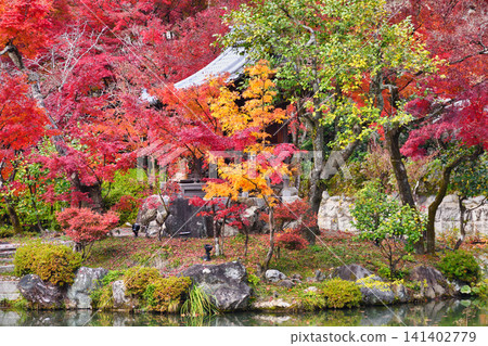 Kyoto, Eikan-do Temple (Zenrin-ji Temple), Benten Shrine: Beautiful autumn foliage (Sakyo-ku, Kyoto City, Kyoto Prefecture) Kyoto, Eikan-do Temple (Zenrin-ji Temple), Benten Shrine: Beautiful autumn foliage (Sakyo-ku, Kyoto City, Kyoto Prefecture) 141402779