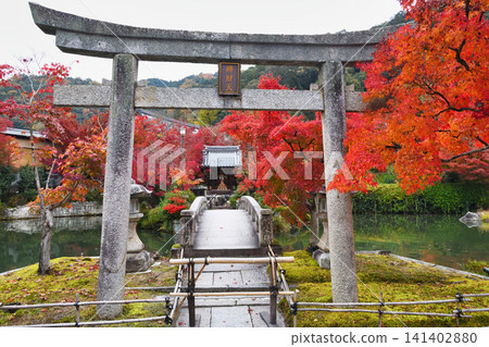 京都、永觀堂(善林寺)、弁天神社:美麗的紅葉(京都府京都市左京區) 京都、永觀堂(善林寺)、弁天神社:美麗的紅葉(京都府京都市左京區) 141402880
