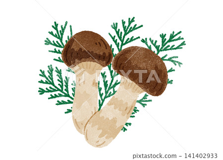 Watercolor illustration of a matsutake mushroom Watercolor illustration of a matsutake mushroom 141402933