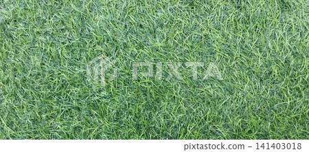 Green synthetic grass texture background Green synthetic grass texture background 141403018