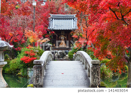 Kyoto, Eikan-do Temple (Zenrin-ji Temple), Benten Shrine: Beautiful autumn foliage (Sakyo-ku, Kyoto City, Kyoto Prefecture) Kyoto, Eikan-do Temple (Zenrin-ji Temple), Benten Shrine: Beautiful autumn foliage (Sakyo-ku, Kyoto City, Kyoto Prefecture) 141403054