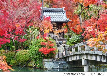 Kyoto, Eikan-do Temple (Zenrin-ji Temple), Benten Shrine: Beautiful autumn foliage (Sakyo-ku, Kyoto City, Kyoto Prefecture) Kyoto, Eikan-do Temple (Zenrin-ji Temple), Benten Shrine: Beautiful autumn foliage (Sakyo-ku, Kyoto City, Kyoto Prefecture) 141403692