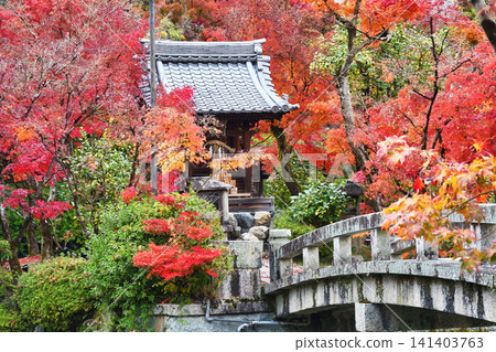 京都、永觀堂(善林寺)、弁天神社:美麗的紅葉(京都府京都市左京區) 京都、永觀堂(善林寺)、弁天神社:美麗的紅葉(京都府京都市左京區) 141403763