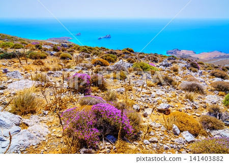 Xerokambos coastline Xerokambos coastline 141403882