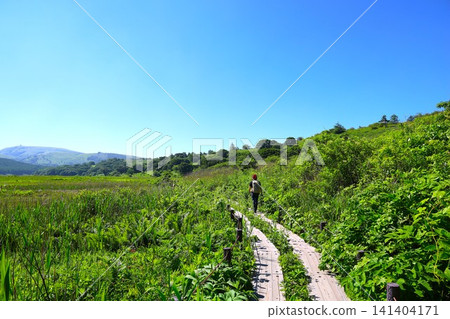 Hiking in Yashimagahara Marshland in Kirigamine, Nagano Prefecture on a clear day. Hiking in Yashimagahara Marshland in Kirigamine, Nagano Prefecture on a clear day. 141404171