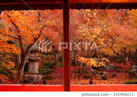從京都寺廟的房間看到的秋葉花園 從京都寺廟的房間看到的秋葉花園 141404221