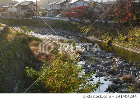 高野川的秋景 高野川的秋景 141404244