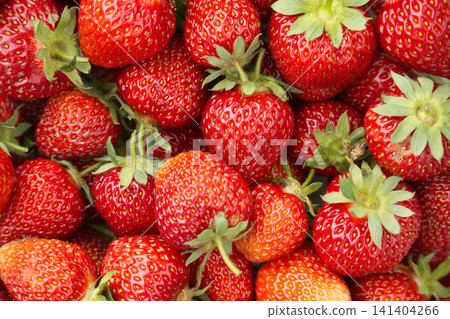 Fresh ripe strawberries piled high, showcasing their vibrant red color and green stems Fresh ripe strawberries piled high, showcasing their vibrant red color and green stems 141404266