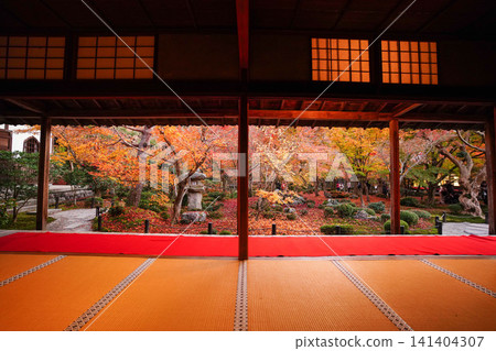 Autumn foliage garden as seen from a room in a Kyoto temple Autumn foliage garden as seen from a room in a Kyoto temple 141404307