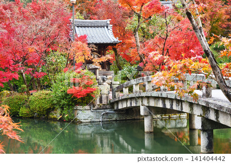 Kyoto, Eikan-do Temple (Zenrin-ji Temple), Benten Shrine: Beautiful autumn foliage (Sakyo-ku, Kyoto City, Kyoto Prefecture) Kyoto, Eikan-do Temple (Zenrin-ji Temple), Benten Shrine: Beautiful autumn foliage (Sakyo-ku, Kyoto City, Kyoto Prefecture) 141404442