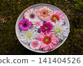 Flowers arranged in a pot placed in the garden of a temple in Kyoto 141404526