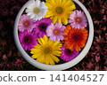 Flowers arranged in a pot placed in the garden of a temple in Kyoto 141404527