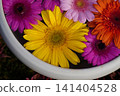 Flowers arranged in a pot placed in the garden of a temple in Kyoto 141404528
