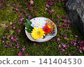 Flowers arranged in a pot placed in the garden of a temple in Kyoto 141404530