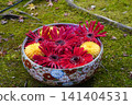 Flowers arranged in a pot placed in the garden of a temple in Kyoto 141404531