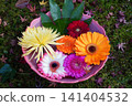 Flowers arranged in a pot placed in the garden of a temple in Kyoto 141404532