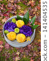 Flowers arranged in a pot placed in the garden of a temple in Kyoto 141404535