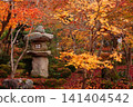 Autumn foliage in a temple garden in Kyoto 141404542