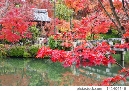 京都、永觀堂(善林寺)、弁天神社:美麗的紅葉(京都府京都市左京區) 京都、永觀堂(善林寺)、弁天神社:美麗的紅葉(京都府京都市左京區) 141404546