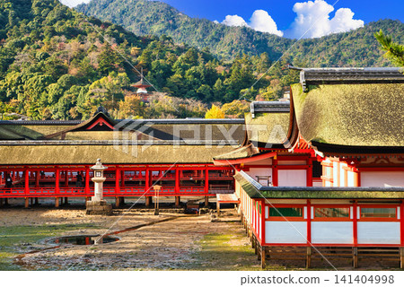 The spectacular view of Miyajima and Itsukushima Shrine in Aki Province The spectacular view of Miyajima and Itsukushima Shrine in Aki Province 141404998