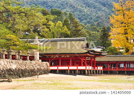 安藝國宮島和嚴島神社的壯麗景色 安藝國宮島和嚴島神社的壯麗景色 141405000
