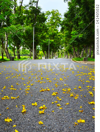 Low angle vertical shot of asphalt running path in a green park covered with fallen yellow flowers Low angle vertical shot of asphalt running path in a green park covered with fallen yellow flowers 141405032