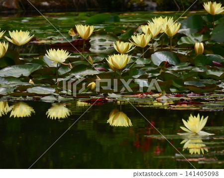 Heian Jingu Shrine Heian Jingu Shrine 141405098