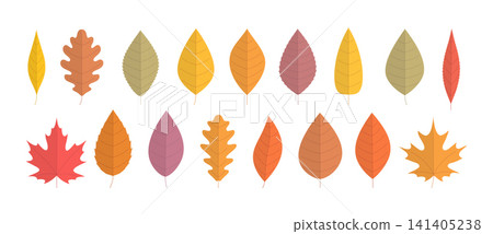 Autumn Leaves Collection Autumn Leaves Collection 141405238