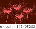 Cluster amaryllis 141405282