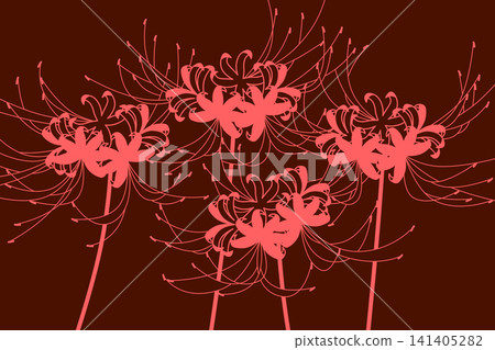 Cluster amaryllis 141405282