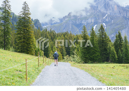 Panorama view of hiker or tourist walking on trail with wildflowers and green meadow under misty Swiss Alps in summer. mountain landscape of Oeschinensee or Oeschinen Lake, Kandersteg, Switzerland Panorama view of hiker or tourist walking on trail with wildflowers and green meadow under misty Swiss Alps in summer. mountain landscape of Oeschinensee or Oeschinen Lake, Kandersteg, Switzerland 141405480