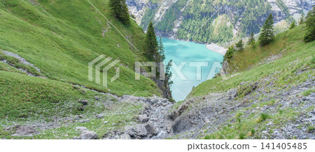 Scenic landscape of Alpine wildflowers blooming under blue sky in Summer. Spectacular green meadow hiking trail view and Stunning Swiss Alps in Oeschinensee or Oeschinen Lake, Kandersteg, Switzerland Scenic landscape of Alpine wildflowers blooming under blue sky in Summer. Spectacular green meadow hiking trail view and Stunning Swiss Alps in Oeschinensee or Oeschinen Lake, Kandersteg, Switzerland 141405485