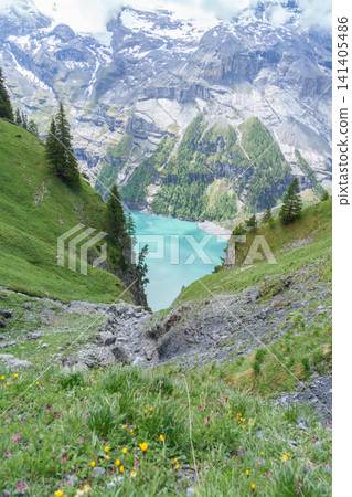 Scenic landscape of Alpine wildflowers blooming under blue sky in Summer. Spectacular green meadow hiking trail view and Stunning Swiss Alps in Oeschinensee or Oeschinen Lake, Kandersteg, Switzerland Scenic landscape of Alpine wildflowers blooming under blue sky in Summer. Spectacular green meadow hiking trail view and Stunning Swiss Alps in Oeschinensee or Oeschinen Lake, Kandersteg, Switzerland 141405486