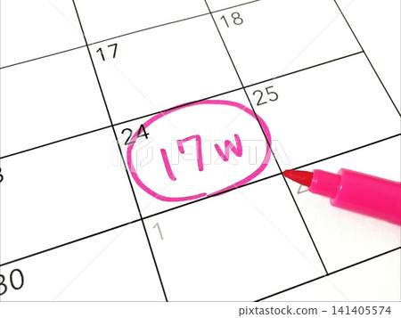 Calendar for 17 weeks of pregnancy Calendar for 17 weeks of pregnancy 141405574