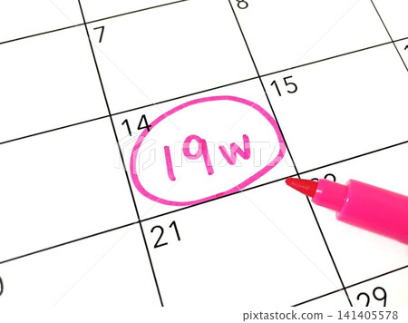 Calendar for 19 weeks of pregnancy 141405578