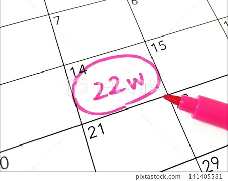 Calendar for 22 weeks of pregnancy 141405581