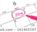 Calendar for 36 weeks of pregnancy 141405597