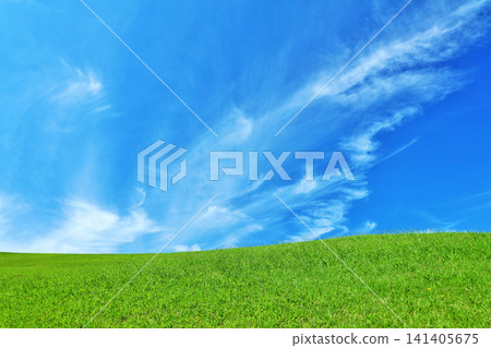 Autumn blue sky and beautiful grassland scenery 141405675